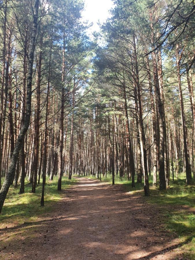 Apartmán Berzelis Palanga Exteriér fotografie